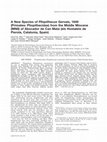 Research paper thumbnail of A new species of Pliopithecus Gervais, 1849 (Primates: Pliopithecidae) from the Middle Miocene (MN8) of Abocador de Can Mata (els Hostalets de Pierola, Catalonia, Spain