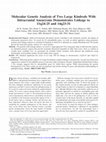 Research paper thumbnail of Molecular Genetic Analysis of Two Large Kindreds With Intracranial Aneurysms Demonstrates Linkage to 11q24-25 and 14q23-31