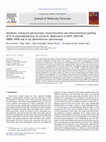 Research paper thumbnail of Synthesis, enhanced spectroscopic characterization and electrochemical grafting of N-(4-aminophenyl)aza-18-crown-6: Application of DEPT, HETCOR, HMBC-NMR and X-ray photoelectron spectroscopy