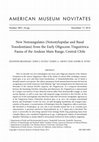 Research paper thumbnail of New notoungulates (Notostylopidae and basal toxodontians) from the early Oligocene Tinguiririca Fauna of the Andean Main Range, central Chile