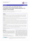 Research paper thumbnail of Foul wind, spirits and witchcraft: illness conceptions and health-seeking behaviour for malaria in the Gambia