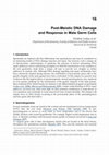 Research paper thumbnail of Post-Meiotic DNA Damage and Response in Male Germ Cells