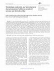 Research paper thumbnail of Morphologic, molecular, and ultrastructural characterization of a feline synovial cell sarcoma and derived cell line