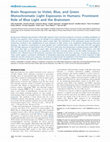 Research paper thumbnail of Brain Responses to Violet, Blue, and Green Monochromatic Light Exposures in Humans: Prominent Role of Blue Light and the Brainstem