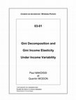 Research paper thumbnail of GINI DECOMPOSITION AND GINI INCOME ELASTICITY UNDER INCOME VARIABILITY