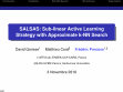 Research paper thumbnail of SALSAS: Sublinear active learning strategy with approximate k-NN search