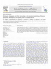 Research paper thumbnail of Molecular phylogeny and DNA barcoding in the meadow-spittlebug Philaenus spumarius (Hemiptera, Cercopidae) and its related species