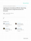 Research paper thumbnail of Lighting Up Clostridium Difficile: Reporting Gene Expression Using Fluorescent Lov Domains