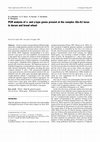 Research paper thumbnail of PCR analysis of x- and y-type genes present at the complex Glu-A1 locus in durum and bread wheat