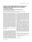 Research paper thumbnail of Location of the ureteral openings in the cloacas of tinamous, some ratite birds, and crocodilians: A primitive character