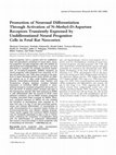 Research paper thumbnail of Promotion of neuronal differentiation through activation of N-methyl-D-aspartate receptors transiently expressed by undifferentiated neural progenitor cells in fetal rat neocortex