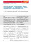 Research paper thumbnail of Insensitivity to glutamate neurotoxicity mediated by NMDA receptors in association with delayed mitochondrial membrane potential disruption in cultured rat cortical neurons