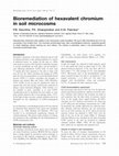 Research paper thumbnail of Bioremediation of hexavalent chromium in soil microcosms