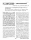 Research paper thumbnail of Role of Pyridoxal 5'Phosphate in the Structural Stabilization of O-Acetylserine Sulfhydrylase