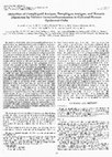 Research paper thumbnail of Detection of Pemphigoid Antigen, Pemphigus Antigen, and Keratin Filaments by Indirect Immunofluorescence in Cultured Human Epidermal Cells