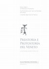 Research paper thumbnail of Analisi dei cambiamenti tecno-economici nel Nord-Est italiano tra Neolitico antico e Neolitico medio: studio tecno-funzionale dell’industria litica dei siti La Vela (Trento) e Lugo di Grezzana (Verona)