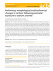 Research paper thumbnail of Preliminary morphological and biochemical changes in rat liver following postnatal exposure to sodium arsenite