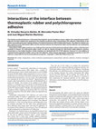 Research paper thumbnail of Interactions at the interface between thermoplastic rubber and polychloroprene adhesive