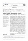 Research paper thumbnail of The Sequence Dependence of Human Nucleotide Excision Repair Efficiencies of Benzo[ a]pyrene-derived DNA Lesions: Insights into the Structural Factors that Favor Dual Incisions