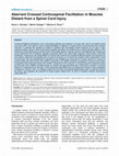 Research paper thumbnail of Aberrant Crossed Corticospinal Facilitation in Muscles Distant from a Spinal Cord Injury