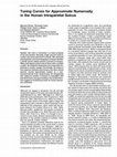 Research paper thumbnail of Tuning Curves for Approximate Numerosity in the Human Intraparietal Sulcus