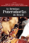 Research paper thumbnail of 13_Grupos tróficos e guildas em formigas poneromorfas.pdf