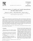 Research paper thumbnail of Electronic spectra of 1-methyl and 2-methyl phenanthrenes and their radical cations