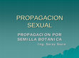 Research paper thumbnail of PROPAGACION PROPAGACION SEXUAL SEXUAL PROPAGACION POR PROPAGACION POR SEMILLA BOTANICA SEMILLA BOTANICA