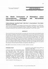 Research paper thumbnail of The abiotic environment of Heliamphora nutans (Sarraceniaceae): pedological and microclimatic observations on Roraima Tepui