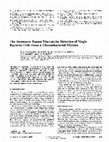 Research paper thumbnail of The resonance Raman microprobe detection of single bacterial cells from a chromobacterial mixture