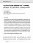 Research paper thumbnail of COEVOLUTION BETWEEN ATTINE ANTS AND ACTINOMYCETE BACTERIA: A REEVALUATION