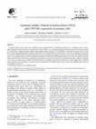 Research paper thumbnail of Genistein inhibits Vitamin D hydroxylases CYP24 and CYP27B1 expression in prostate cells