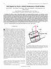 Research paper thumbnail of Soft Magnets for Passive Attitude Stabilization of Small Satellites