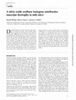 Research paper thumbnail of A nitric oxide synthase transgene ameliorates muscular dystrophy in mdx mice