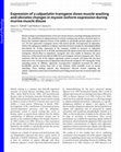 Research paper thumbnail of Expression of a calpastatin transgene slows muscle wasting and obviates changes in myosin isoform expression during murine muscle disuse