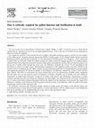 Research paper thumbnail of Zinc is critically required for pollen function and fertilisation in lentil