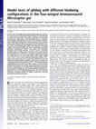 Research paper thumbnail of From the Cover: Model tests of gliding with different hindwing configurations in the four-winged dromaeosaurid Microraptor gui