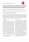 Research paper thumbnail of New Data about the Paleo Environment of the Papo-Seco Formation (Lower Cretaceous) of Southern Portugal