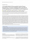 Research paper thumbnail of A Drosophila Model of Neuronopathic Gaucher Disease Demonstrates Lysosomal-Autophagic Defects and Altered mTOR Signalling and Is Functionally Rescued by Rapamycin