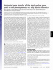 Research paper thumbnail of From the Cover: Horizontal gene transfer of the algal nuclear gene psbO to the photosynthetic sea slug Elysia chlorotica