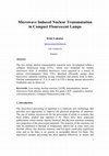 Research paper thumbnail of Microwave Induced Nuclear Transmutation in Compact Flourescent Lamps