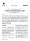 Research paper thumbnail of Intact performance on an indirect measure of race bias following amygdala damage