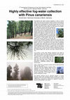 Research paper thumbnail of Highly effective fog-water collection with Pinus canariensis