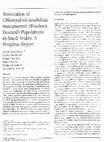 Research paper thumbnail of Restoration of Chlamydotis undulata macqueenii (Houbara Bustard) Populations in Saudi Arabia: A Progress Report