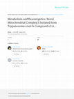 Research paper thumbnail of A Novel Method for Inducing Amastigote-To-Trypomastigote Transformation In Vitro in Trypanosoma cruzi Reveals the Importance of Inositol 1,4,5-Trisphosphate Receptor