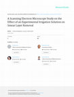 Research paper thumbnail of A scanning electron microscope study on the effect of an experimental irrigation solution on smear layer removal