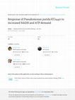 Research paper thumbnail of Response of Pseudomonas putida KT2440 to Increased NADH and ATP Demand