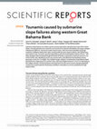 Research paper thumbnail of Tsunamis caused by submarine slope failures along western Great Bahama Bank