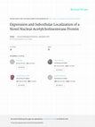 Research paper thumbnail of Expression and subcellular localization of a novel nuclear acetylcholinesterase protein