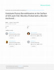 Research paper thumbnail of Geminate proton recombination at the surface of SDS and CTAC micelles probed with a micelle-anchored anthocyanin